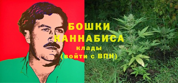 метамфетамин Алексин